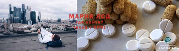 индика Дмитровск