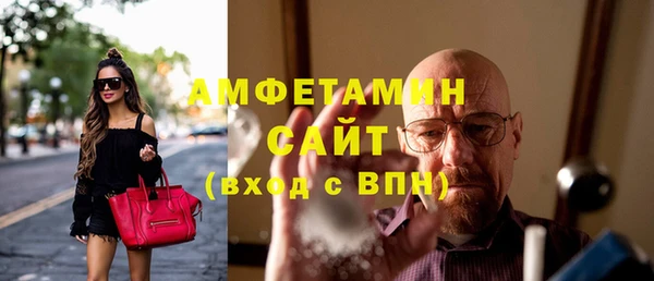 индика Дмитровск