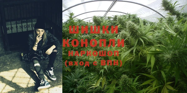 первитин Гусиноозёрск