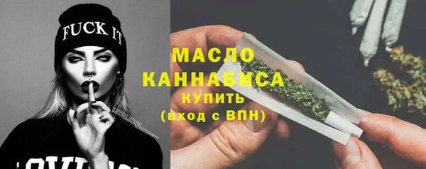 индика Дмитровск