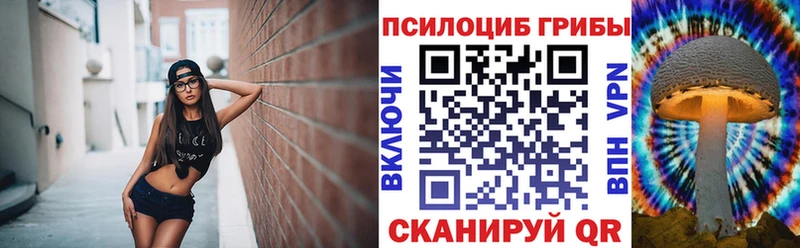 Купить  Семикаракорск  Псилоцибиновые грибы мицелий 